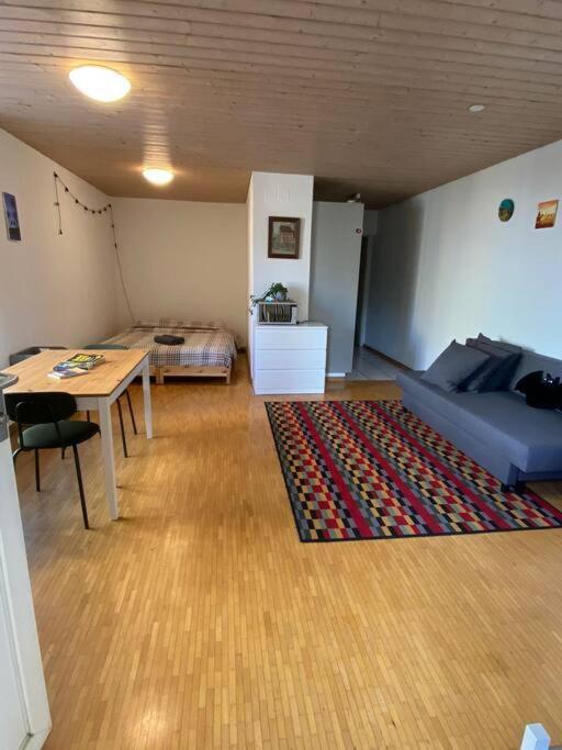 Urban Retreat - Cozy Studio With Private Patio Lejlighed Zürich Eksteriør billede