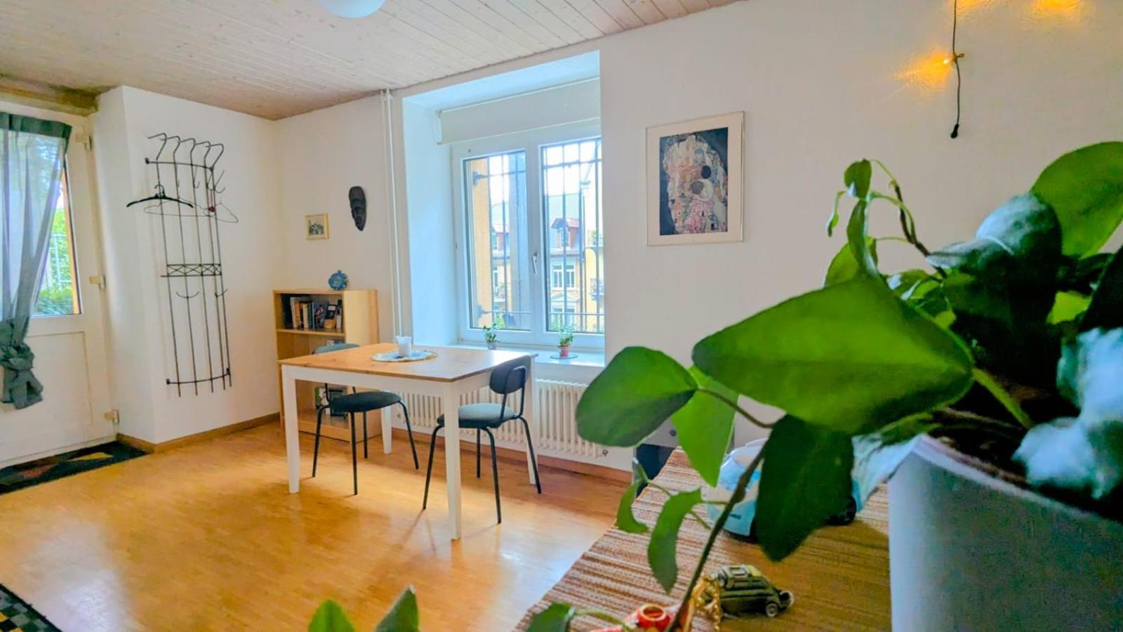 Urban Retreat - Cozy Studio With Private Patio Lejlighed Zürich Eksteriør billede