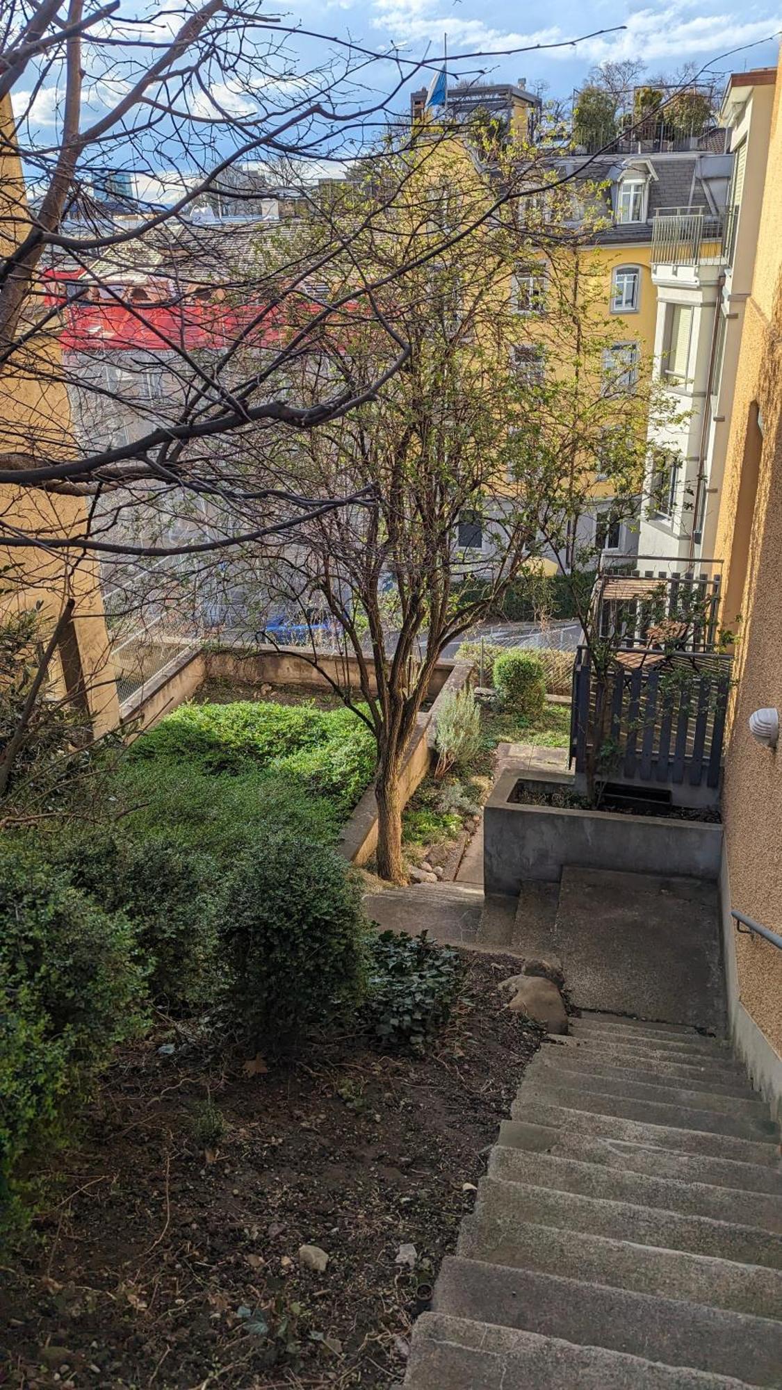Urban Retreat - Cozy Studio With Private Patio Lejlighed Zürich Eksteriør billede
